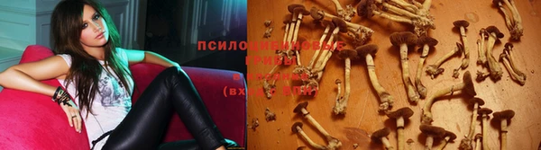 прущая мука Лагань